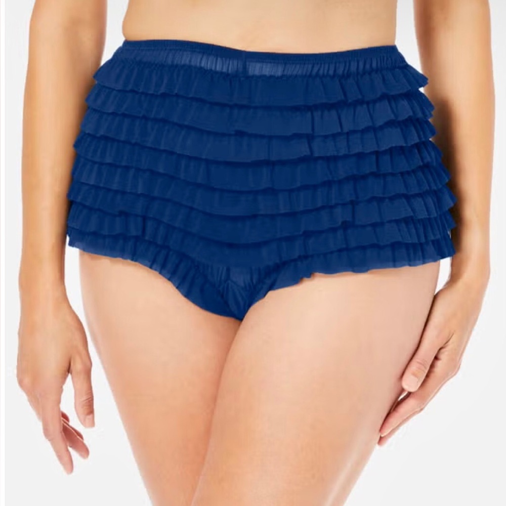 NWT Nylon Mesh Rumba Boyshorts in Blue. By Amoureuse. Size 10